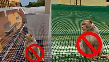safety nets in bangalore
